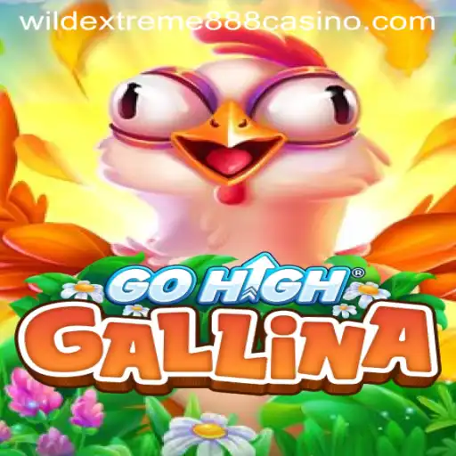 GoHighGallina: The Ultimate Gaming Sensation with WildExtreme888